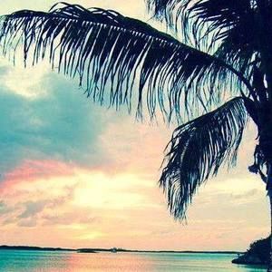 Meet your Posher, Jane